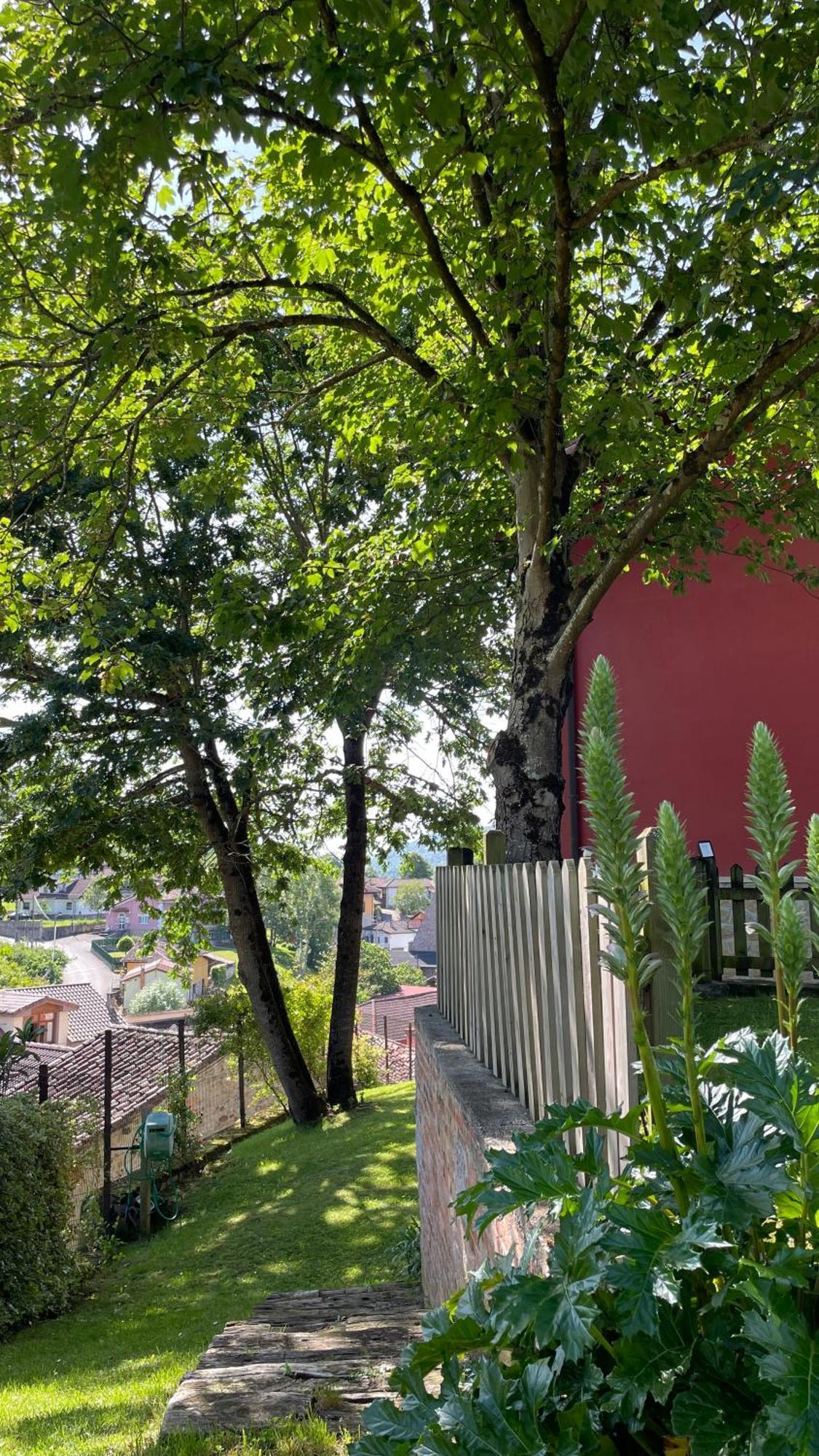 Apartamentos El Picoretu Mestas De Con Zewnętrze zdjęcie