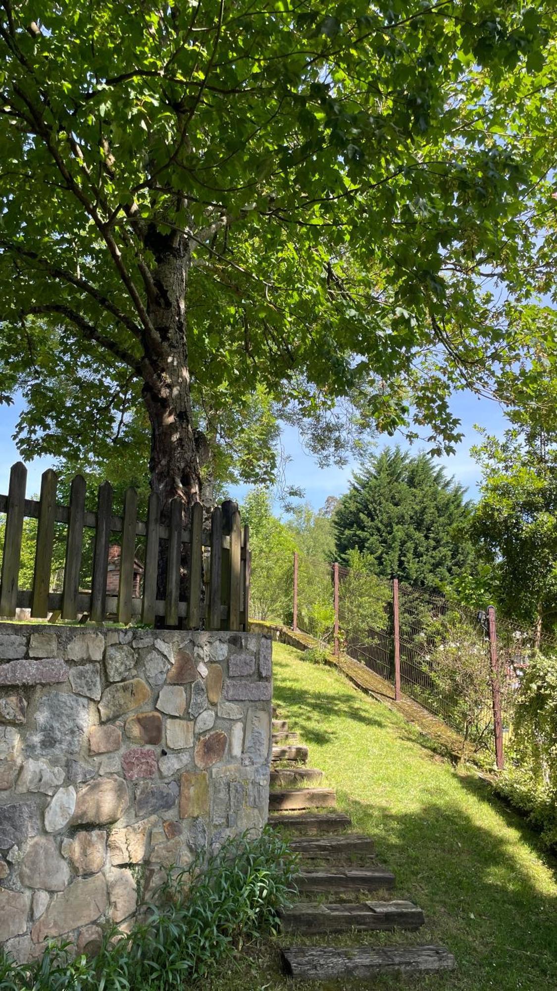 Apartamentos El Picoretu Mestas De Con Zewnętrze zdjęcie